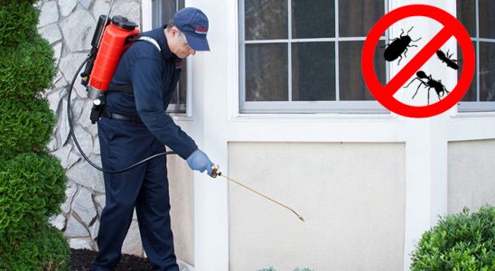Karşıyaka Karınca İlaçlama böcek ilaçlama ve haşere kontrolü — ilaclama-tr.com